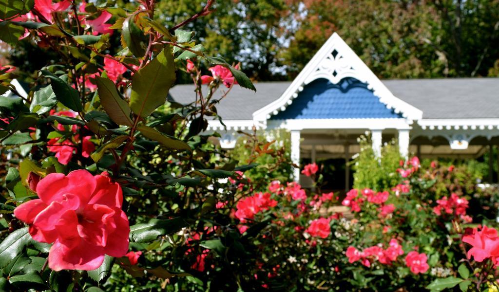 Victoria Inn ハンプトン エクステリア 写真